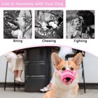 New Dog Muzzle Anti Stop Bite Barking Chewing Mesh Mask Training Pet Small Large