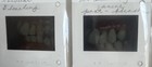 Vintage Lot Of 400  Dental Slides -educational - Wayne State University