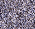 Lavender Flower Buds Dried Fresh Bulk Wholesale Lavandula Angustifolia