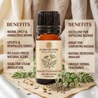 Ajwain Essential Oil  100  Pure undiluted  And Natural therapeutic Grade Oil