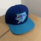 Nos Vintage Lahaina Whalers Snapback Hat Hawaii Winter Baseball Milb New Era Usa
