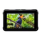 Atomos Shinobi 5 In Hdmi 4k Monitor With 60 In Tripod And 32gb Memory Card