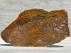 Rio Grande River Moss Plume Agate Lapidary Rough Slab 4 75 x2 75  135 Grams
