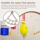 Bird Swings For Parrots Funny Safe Natural Sturdy Hammock Funny Natural Perch Bi