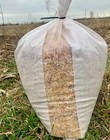 Cracked Corn Premium Chicken Scratch Duck Turkey Bird  Feed 15 Lb Low Ship Cost