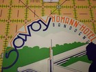 Vintage Art Deco Travel Decal Savoy Homann Hotel Bandoeng Java Luggage Label