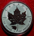 2016 Canada   Bear Privy   Rev Proof Coin  5 1 Oz   9999 Silver Maple Leaf
