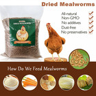 5 11lbs Bulk Dried Mealworms For Wild Birds Food Chickens Hen Fish Treats Food 