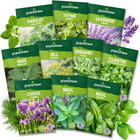 10 Herb Seeds Variety Pack - 7 000  Heirloom Non-gmo Seeds - Basil  Cilantro    
