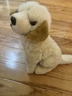 Plush Fao Schwarz Golden Retriever Lab Puppy Dog Realistic Stuffed Animal Essa