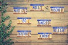 Custom Personalized Weathered Vanity Metal License Plate - Your Name Your State