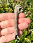 Nice Florida Fossil Bird Bone Avian 3 25     Pleistocene Ice Age