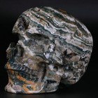 3 5  Ocean Jasper Carved Crystal Skull  Realistic  Crystal Healing