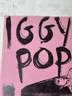 Vintage Iggy Pop Catalyst Santa Cruz Jj180 Lloyds Concert Flyer Original Rare