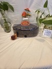 4lb All-in-one Mushroom Grow Bag  dung Lovers     Counter Cultures  