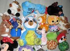 Lot Of 17 Stuffed Plush Toys Animals Nwt Disney Aurora Ty Nickelodeon