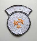 Resident Evil Stars Raccoon Police Dept Black Logo Embroidered Iron On Patch