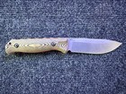 Benchmade Saddle Mountain Skinner Knife