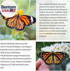 2024 New 55  Monarch Butterfly Kite For Kids And Adults Large Kites Easy To Fly