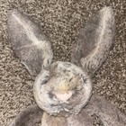 Jellycat Bashful Cottontail Woodland Bunny 12  Stuffed Animal Plush Brown Gray