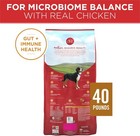 Purina One Dry Dog Food  Natural High Protein With Real Chicken   Rice  40 Lb