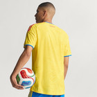 New Colombia 2026 World Cup Home Jersey Mens Authentic