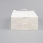 White Kraft Paper Party Shopping Gift Bags With Handles Retail 6 25x3 5x8