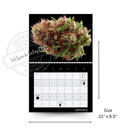 2026 Wall Calendar   Moon Phases   Cannabis Calendar