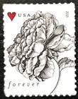 Scott 4959 Vintage Rose Wedding Forever Stamps  5 Panes 100 Mnh Self Adhesive