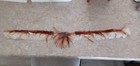 Western Cowboy Hat  Feather Band With Clips 27 x4 New