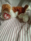 Ty Beanie Babies  sampson 