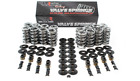 Btr  660  Dual Valve Spring Kit Steel Retainer - 4 8 5 3 6 0 ls1 ls2 ls3
