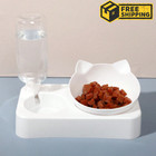 Pet Food Bowl And Water Bottle Set Double Cat Dog Food Bowl Automatic Gravity