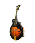 Caraya F-style Solid Top Mandolin  Eq   Gig Bag Or Hard Case Sma008eqvs