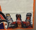 Vintage 1993 Budweiser Monster Party Halloween Banner 60x36 Bud Light Bud Dry
