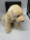 Fao Schwarz 10  Golden Retriever Plush Puppy - Star - Already House Trained -l