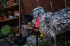 Tactical Dog Collar - 1 5in Wide  Heavy Duty With Metal Buckle Usa Flag - Blue 