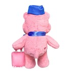 Care Bears Love-a-lot Bear Plush Toy 13 Inch Aviation Style Soft Stuffed Animal