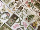 Anna Griffin Faithful Diecut Set 12 Sheets