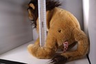 Fao Schwarz Lion Plush 2012 Toys R Us Stuffed Animal Brown Tan Realistic Toy 21 