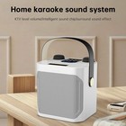 Wireless Bluetooth Speaker Dual Microphone Karaoke Home Portable Karaoke Speaker