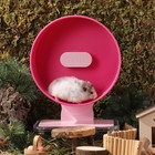 Raspberry Pink 8 7 Inch Silent Hamster Wheel Dualbearings Quiet Exercise