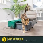 Smart Scoop Litter Box Value Pack  Self Cleaning   Kitty No Expensive Refills  