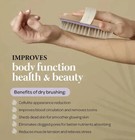 Premium Natural Bristle Wooden Bath Shower Body Back Dry Skin Brush Spa Scrubber