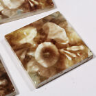 Antique Decorative Fireplace Tiles  Petunias  17 Available  Nft78