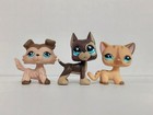3pcs lot Littlest Pet Shop Toy Lps Cat Dog  893 817 886 Animal Figures