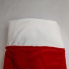 Disney Parks Winnie The Pooh 19  Vintage Eeyore 3d Christmas Stocking Rare