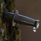 10 Maple Sap Syrup 5 16 Taps   Stainless Steel Spouts  Spiles For Bags   Buckets