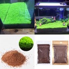 5g Aquarium Plant Seeds Fish Tank Aquatic Water Grass Foreground Easy Plants Lot