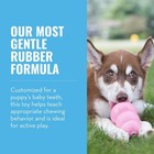 Kong - Puppy Toy Natural Teething Rubber - Fun To Medium  pack Of 1   Pink